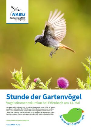 Plakat zur Vogelexkursion am 17.05.2017