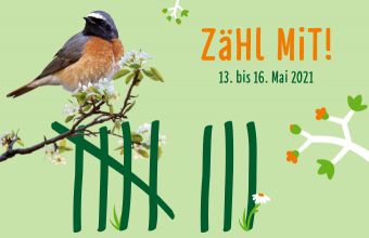 Stunde der Gartenvögel findet vom 13. bis 16. Mai 2021