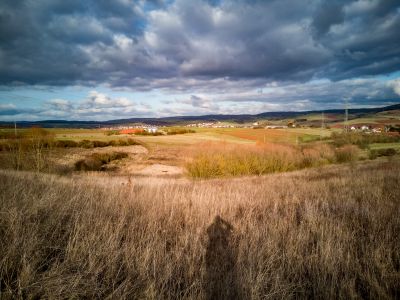 Blick vom IG-Nord in Richtung Stockborn (Foto: J. Reincke / NABU)