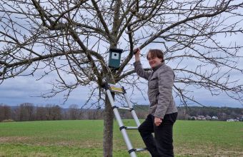 NABU-Nistkästen in den Obstbäumen bei Morlautern