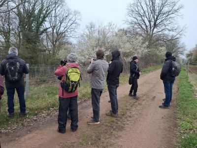 NABU-Vogelexkursion vom Daubenbornerhof in Richtung Enkenbach