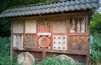 Insektenhotel am „Naturwissenspfad Eselsbachtal“