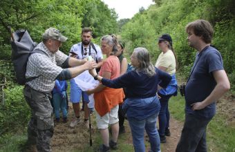 Spinnenvielfalt in der Mehlinger Heide
