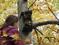 Nistkastenreinigung in den Kranzeichen