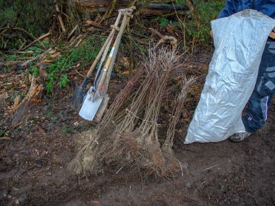 Stecken stecken (Foto: NABU)