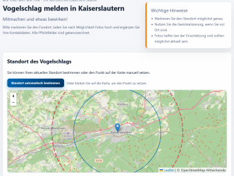 Vogelschlagmelder Kaiserslautern