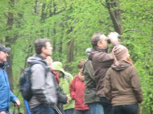 Vogelstimmenexkursion im Eselsbachtal