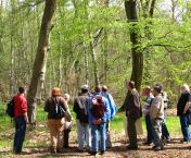 Exkursion in den OPEL-Wald (Bild: NABU)