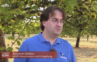 Benjamin Oelkers vom NABU Kaiserslautern in der Landesschau RLP