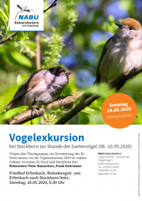 Vogelexkursion bei Stockborn 2020