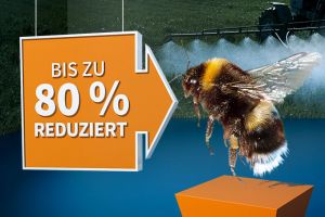 Rückgang der Insekten (Bild: NABU)