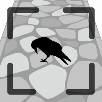 Aufnahme des Vogels