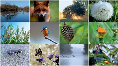 Siegerfotos NABU-Fotowettbewerb Lebensader-Oberrhein 2014