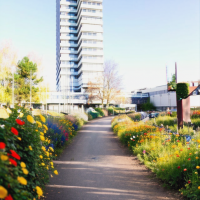 Blick auf das Rathaus Kaiserslautern (Simulation: dutchcyclinglifestyle.com)