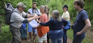 Spinnenvielfalt in der Mehlinger Heide