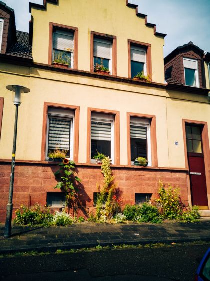 Dieses Fassadengrün in Kaiserslautern wurde verboten und musste entfernt werden!