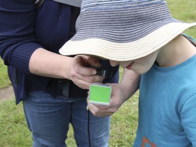 Spinnenvielfalt in der Mehlinger Heide