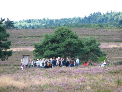 Exkursion in die Mehlinger Heide (Foto: Jürgen Reincke / NABU)