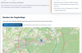 Vogelschlagmelder Kaiserslautern