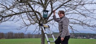 NABU-Nistkästen in den Obstbäumen bei Morlautern