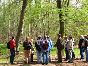 Exkursion in den OPEL-Wald (Bild: NABU)