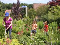 Christine Kuchem / NABU-Netz