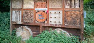 Insektenhotel am „Naturwissenspfad Eselsbachtal“