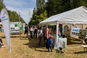 Wald- und Wiesen-Markt