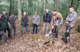 Fledermauskästen für die Kranzeichen