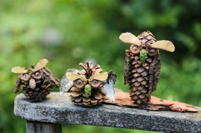 Eulen aus Zapfen basteln (Foto: Thomas Hess, NABU)
