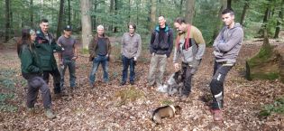 Fledermauskästen für die Kranzeichen