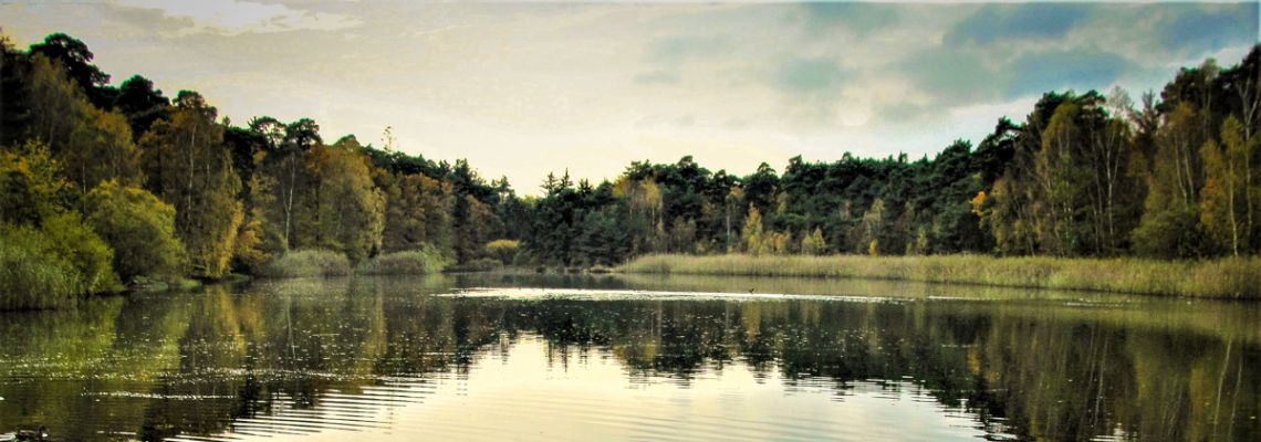 Impression vom Vogelwoog (Foto: © Jochen Löher)