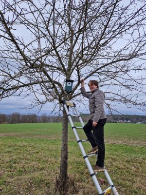 NABU-Nistkästen in den Obstbäumen bei Morlautern