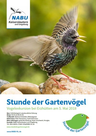 Plakat zur Vogelexkursion am 05.05.2018