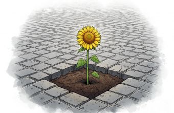 Abpflastern Titelbild