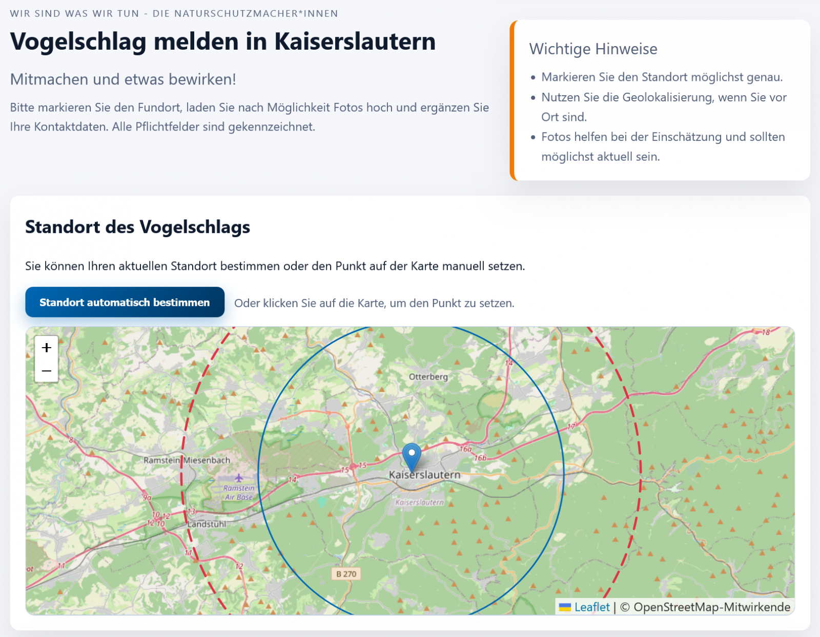 Vogelschlag melden in Stadt und Landkreis Kaiserslautern